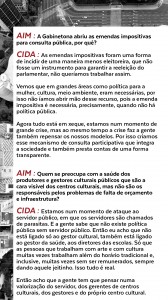 a imensa minoria revista10