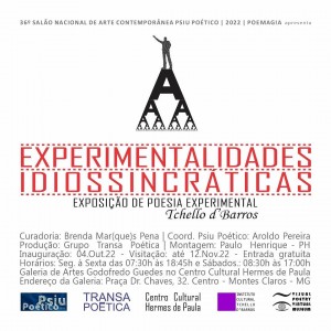 Experimentalidades